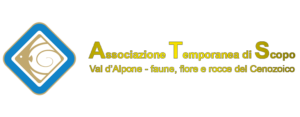 VAL D'ALPONE – FAUNE, FLORE E ROCCE DEL CENOZOICO